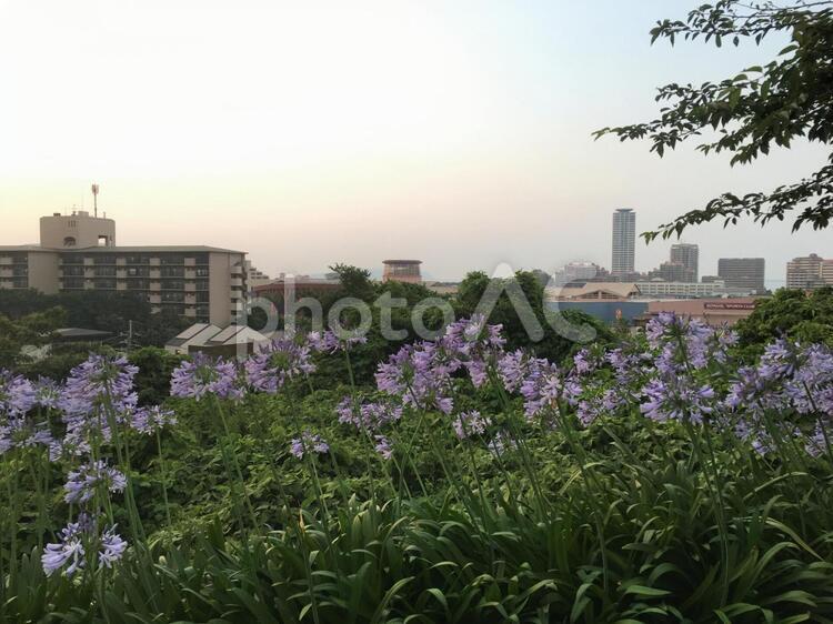 自然の風景 事前,風景,景色の写真素材