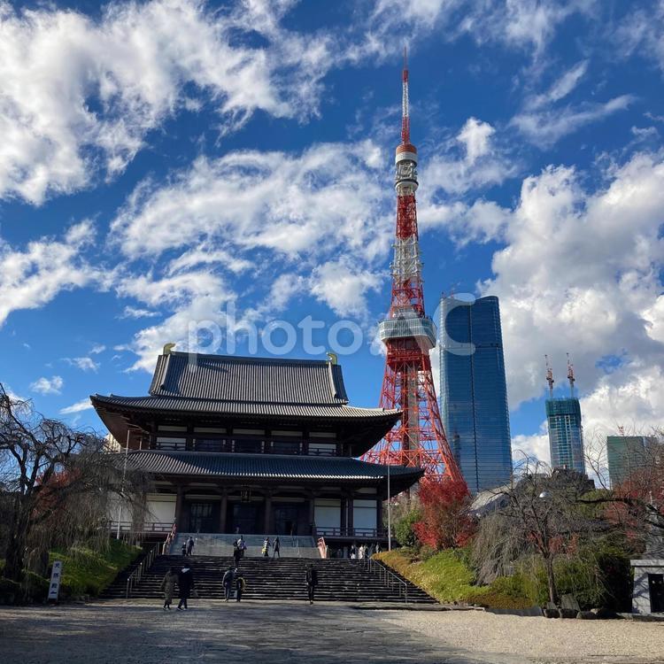 増上寺と東京タワー 東京,東京タワー,増上寺の写真素材