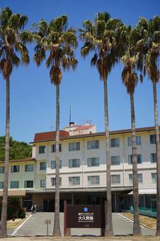Photo, kyukamura okunoshima, national holiday village, palm tree, 