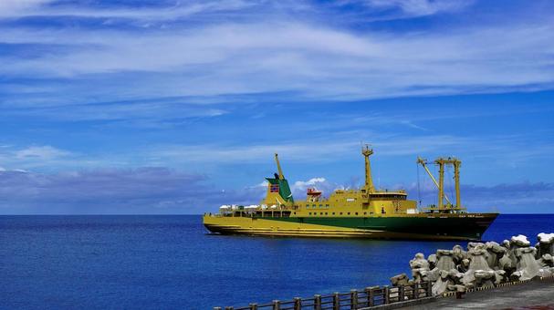 伊豆諸島三宅島に入港する東海汽船橘丸 伊豆諸島三宅島に入港する東海汽船橘丸 橘丸,船,フェリーの写真素材