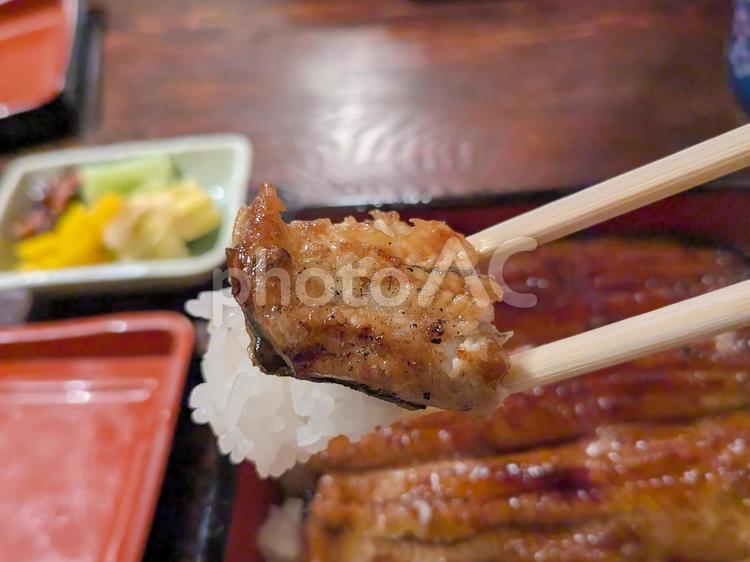 うなぎとごはん うな重,うなぎ,鰻の写真素材