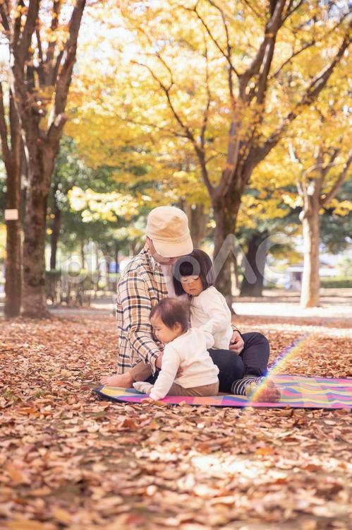 秋の公園でピクニックする家族・ファミリー イクメン,家族サービス,育メンの写真素材