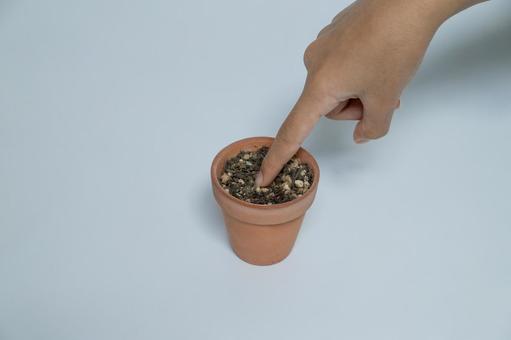 小さな植木鉢の土を指で触る手 植木鉢,土,園芸の写真素材