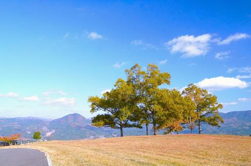 秋の高原① 高原,秋,草原の写真素材