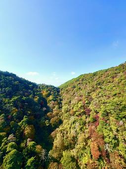 森と青空 山,自然,風景の写真素材