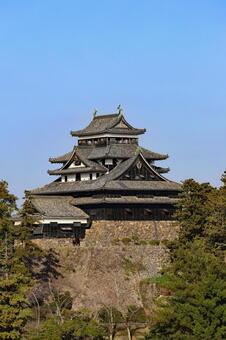 現存天守松江城35 松江城,現存天守,松江市の写真素材