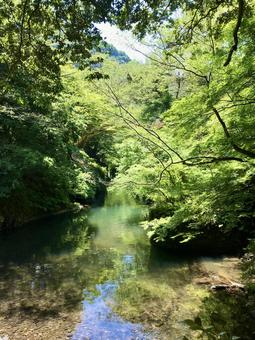 山の中を流れる川 山の中を流れる川 森林,川,森の写真素材