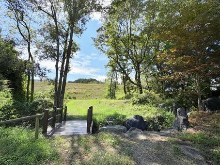 小さな木橋と広がる草原 小さな木橋と広がる草原 木橋,草原,緑の写真素材