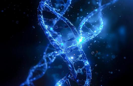 分子構造とDNAイメージ 分子構造とDNAイメージの写真