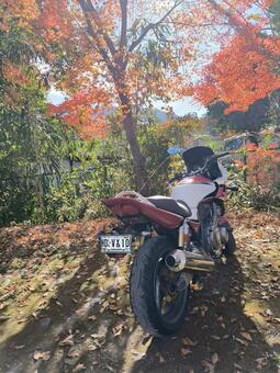 バイク11 バイク,400cc,紅葉の写真素材