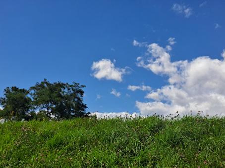 河川敷1 河川敷1の写真
