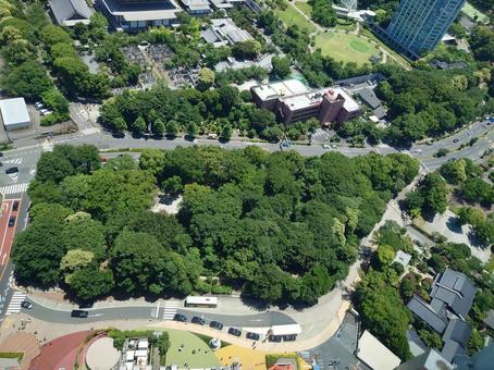 東京タワーから見た景色 東京タワーから見た景色 街並み,東京,自然の写真素材