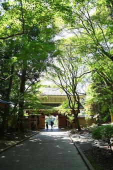 医王山 油山寺の山門 油山寺,山門,門の写真素材