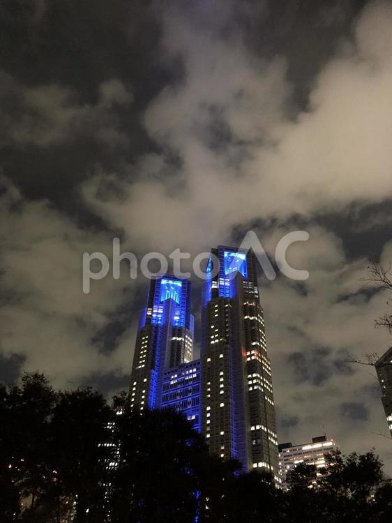 中央公園から見る　青く光る都庁　 都庁,夜の都庁,新宿都庁の写真素材