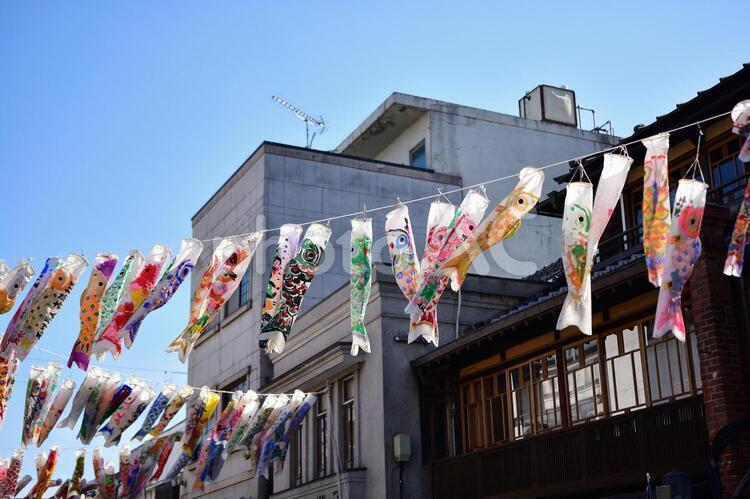 風景　鯉のぼり 風景,こいのぼり,鯉の写真素材