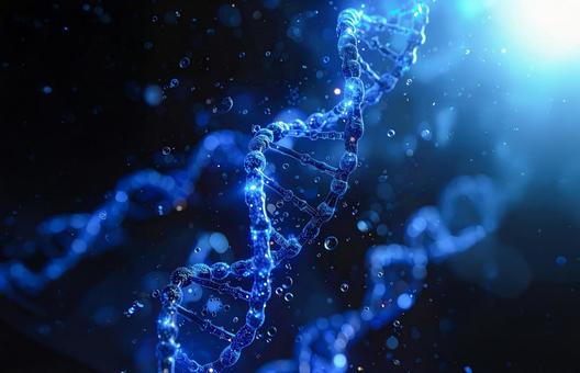 DNA螺旋分子のイラスト DNA螺旋分子のイラストの写真