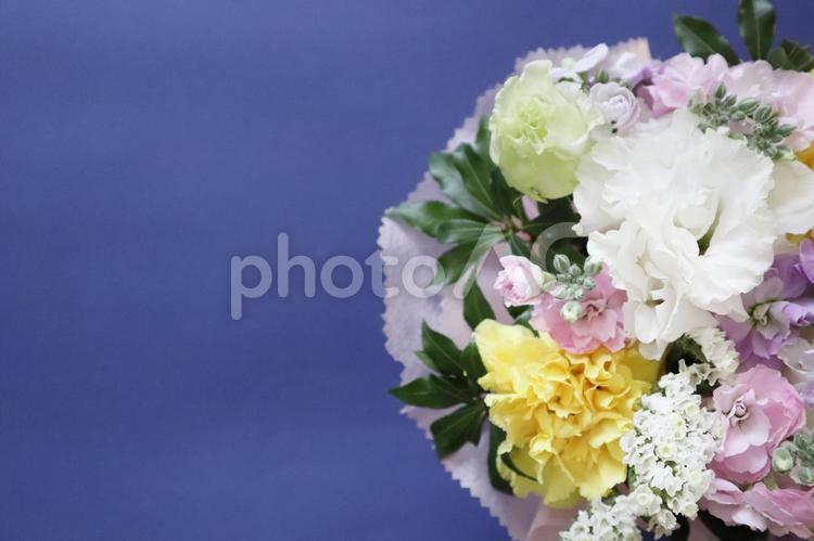 花束　メッセージスペースあり　背景青色 花束,ブーケ,フラワーアレンジの写真素材