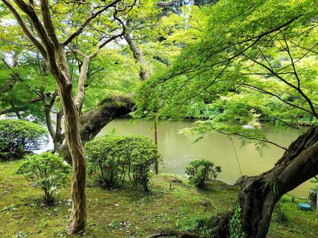 成田山新勝寺 成田山公園の池の畔 成田山新勝寺 成田山公園の池の畔の写真
