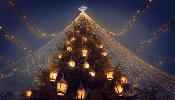 クリスマスツリー クリスマスツリー,クリスマス,ツリーの写真素材