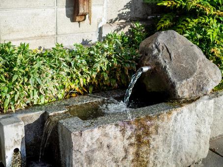 きれいな湧き水が湧き出す 井戸水,湧き水,美しいの写真素材