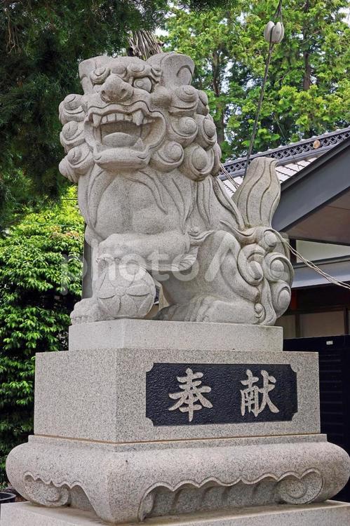 平田神社（松本） 平田神社,建南方富命,旧村社の写真素材