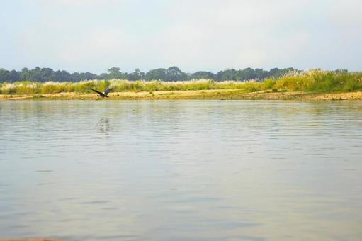 ラプティ川の風景　チトワン国立公園　7の写真