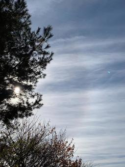 空　かさ現象 空,青空,巻雲の写真素材