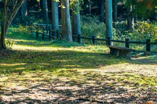 Forest bench, JPG Forest bench, JPG