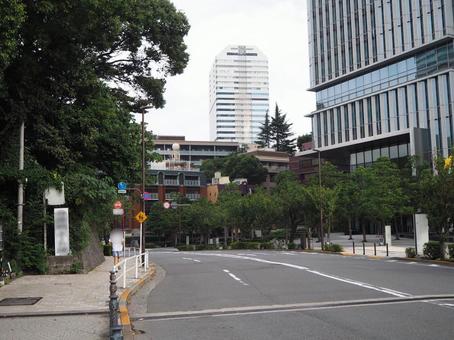 紀尾井町通り(東京都・千代田区) 紀尾井町通り(東京都・千代田区) 紀尾井町通り,麹町,紀尾井町の写真素材