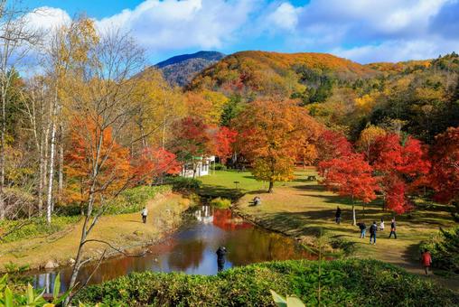 北海道の紅葉 北海道の紅葉 紅葉,秋,池の写真素材