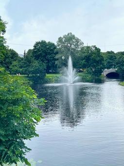 リガの公園 リガの公園 公園,リガの公園,緑の写真素材