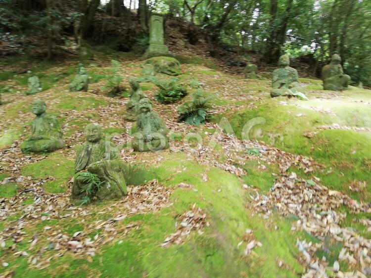 霊巌洞　五百羅漢 霊巌洞,熊本,観光地の写真素材