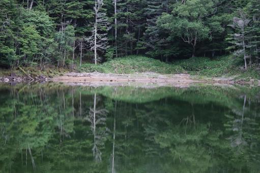 Photo, reflection, woods, mountain, 