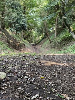 小田原城小峯御鐘ノ台大堀切 小田原城,小峯御鐘ノ台大堀切,城の写真素材