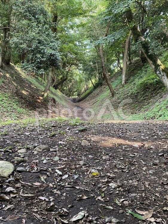小田原城小峯御鐘ノ台大堀切 小田原城,小峯御鐘ノ台大堀切,城の写真素材