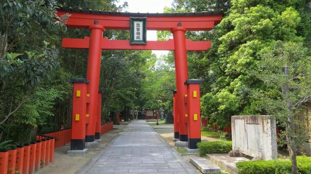 熊野速玉大社　大鳥居 熊野速玉大社,熊野三山,熊野権現の写真素材