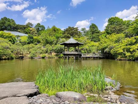 成田山新勝寺 成田山公園の池の畔の浮御堂 成田山新勝寺 成田山公園の池の畔の浮御堂 成田山公園,成田山,新勝寺の写真素材