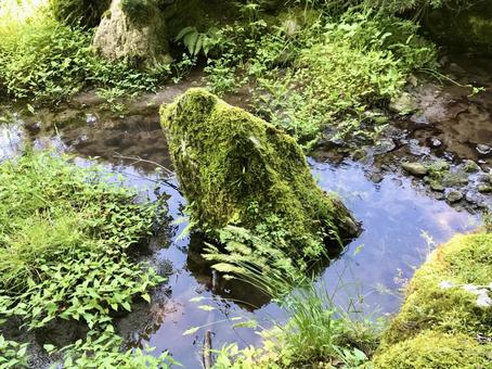 川の中の苔むした岩 川の中の苔むした岩 森,森林,自然の写真素材