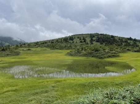 高原の湿地 高原の湿地の写真