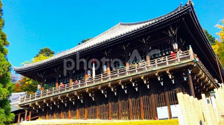 秋の奈良・東大寺　青空の「国宝・二月堂」 奈良,秋,二月堂の写真素材