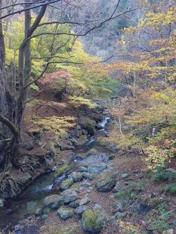 小川 小川の写真