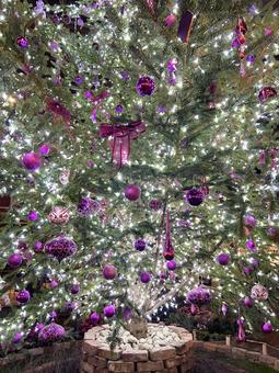 光り輝くオーナメント 光,オーナメント,輝くの写真素材