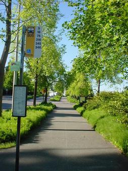 アメリカのバス停 アメリカ,バス停,夏の写真素材