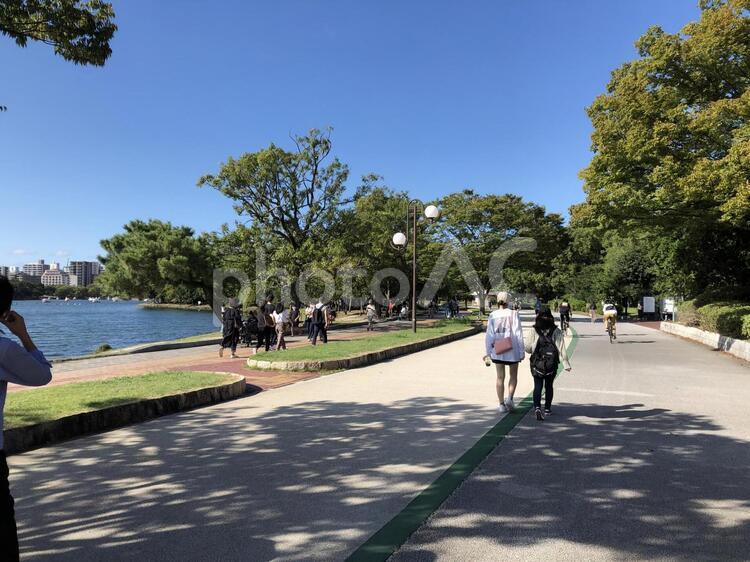 大濠公園(福岡シティ) 公園,木,人の写真素材