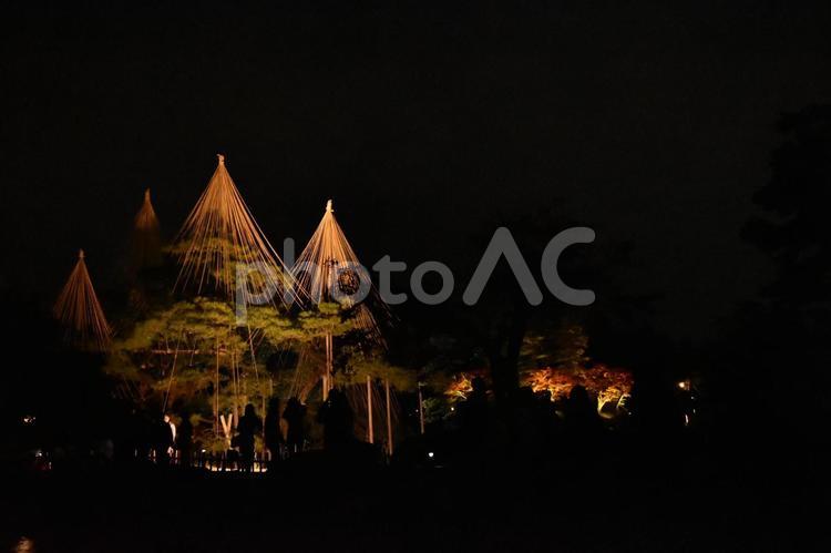 兼六園　ライトアップ　夜　観光　金沢 兼六園,ライトアップ,夜の写真素材