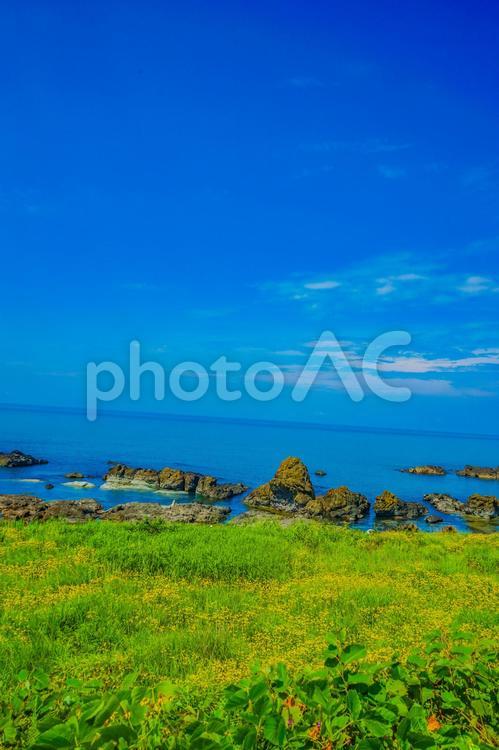 秋田県の海岸線 海岸線,秋田,東北地方の写真素材