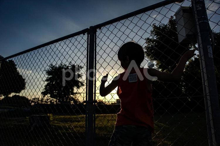 ＜素材＞フェンス越しに夕日を眺める男の子 子供,男性,人物の写真素材