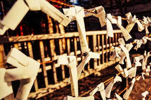おみくじの結び2 おみくじ,神社,神写真の写真素材