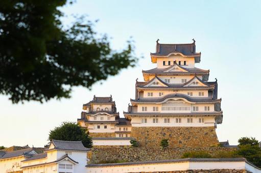 夕方の姫路城 夕方の姫路城 姫路城,姫路市,兵庫県の写真素材