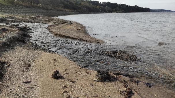 海の流れ込み 海の流れ込みの写真